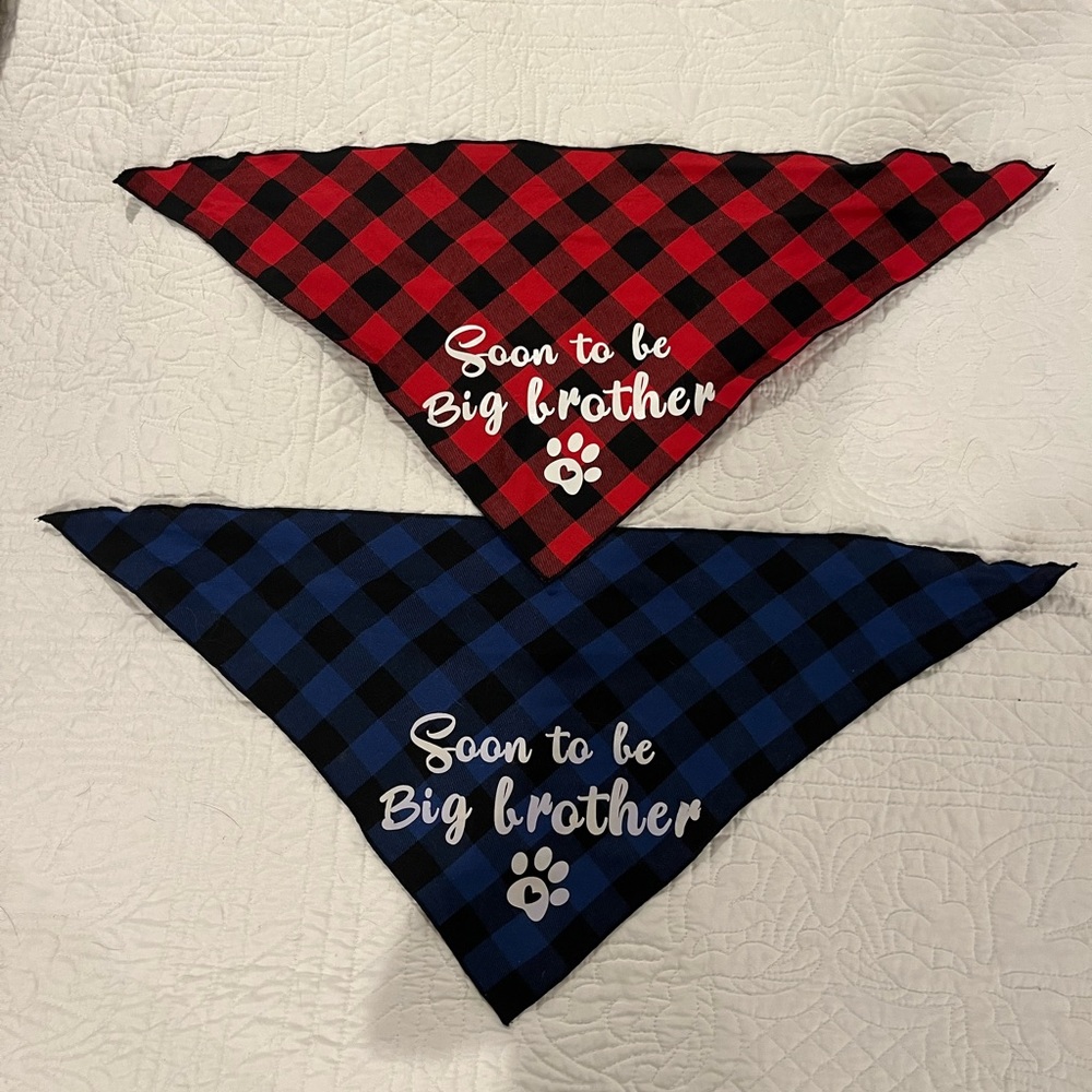 Soon-to-be big brother dog bandanas